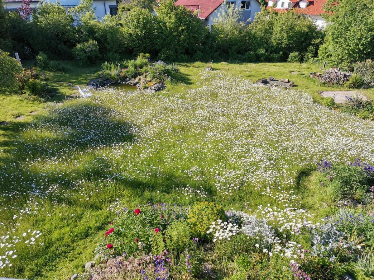 Moderne Ferienwohnung Gartenblick 阿姆特采尔 外观 照片